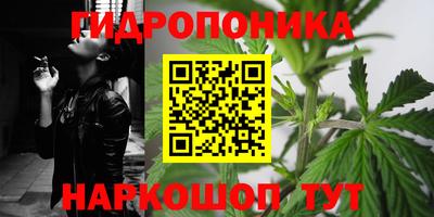 бошки Краснознаменск