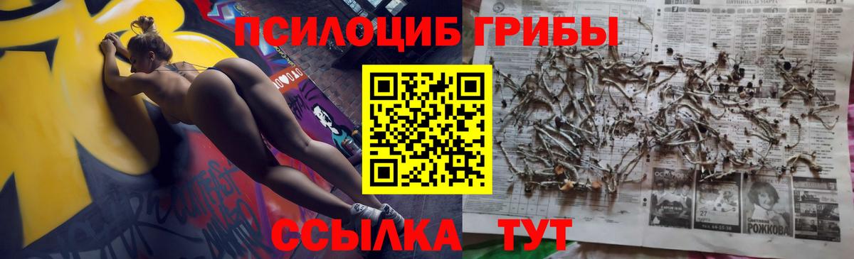Чебаркуль  закладки  Вход с VPN  Псилоцибиновые грибы MAGIC MUSHROOMS  Псилоцибиновые грибы мухоморы 