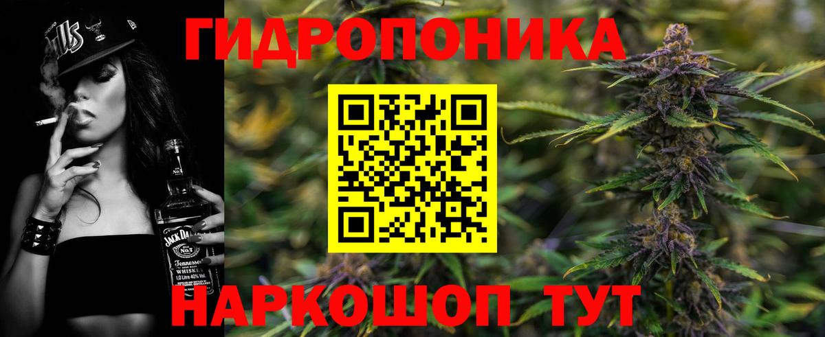 Шишки марихуана гибрид Чебаркуль
